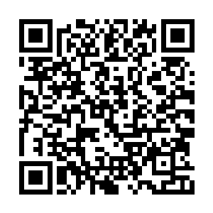 制作七品仙符消耗的精神力和仙元力都十分巨大二维码生成