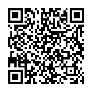 制止那些人来疯要把刚归来的同伴往空中抛这种危险的行为二维码生成