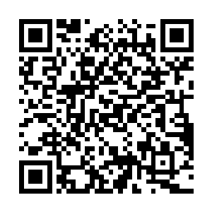 制空权是人族在赛尔内斯战区防线的一把强大的保护伞二维码生成