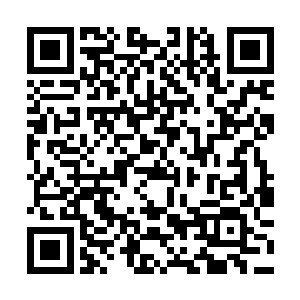 刷个首页竟然没刷上~亲爱的们~走过路过的~求收藏喽~二维码生成