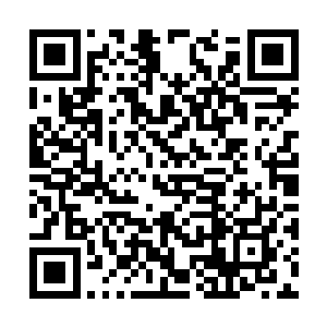 刷的一下所有的人身形顿时出现在了那个人的旁边二维码生成