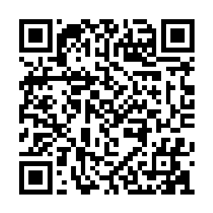 刹那间便向百丈远处的鬼酉的白骨鬼身一扑而去二维码生成