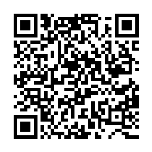 刹那间就让整个桃乐丝钱德勒大厅变成了笑声的海洋二维码生成