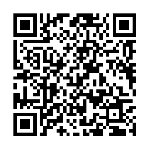 刹那间所有人又再次回忆起雨果年少时的惊人天赋二维码生成