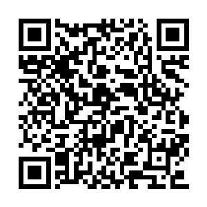 刺入两名中年护士身上的八枚金针仿佛充满了灵二维码生成