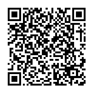 刺刀这家伙吃东西的时候简直就想要把这一大桌子食物全都包圆了二维码生成