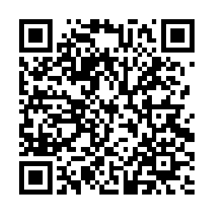 刺啦作响的在手机光协助下刺透划开硬壳包真皮箱体二维码生成