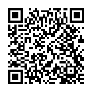 刺激已经接近油尽灯枯的叶笑就再也无法维系金魂塔的基本动力二维码生成