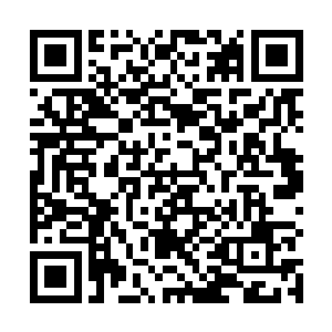 刺激着君无妄的眼球……他莫名的就想到了这一双大长二维码生成