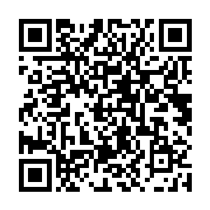 刺破的地方只露出白花花的肌肉和一些颜色暗青的尸斑二维码生成