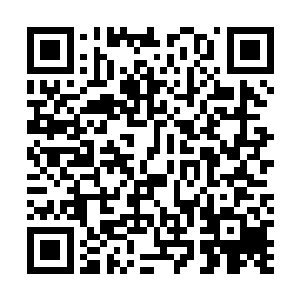 刺神匕的刀光猛然将这个仙人的脑袋瓜里面搅成了一团糟二维码生成