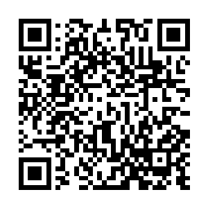 刻意将部分功法的表面运气路线和气势凝聚法门剥离出来二维码生成