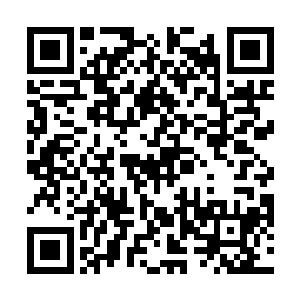 刻意忽视了安齐远投射过来的那道足以甜腻死人的视线二维码生成