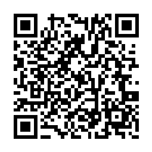 剂什么的也可以放到他随身携带的储物空间之内二维码生成