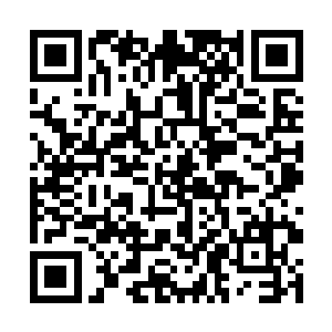 前一段时间是因为师门听说仙农洞府的事情很是震怒二维码生成