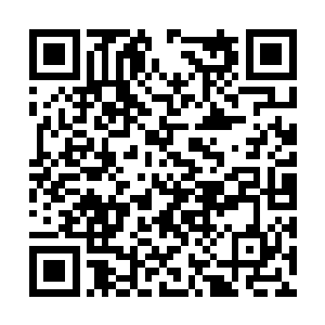 前一段时间黄进带着被废了四肢的周大炮回到总堂二维码生成