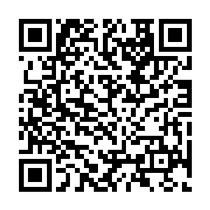 前一秒还犹如boss般如入无人之境的鳄鱼瞬间被打残二维码生成