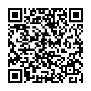 前一阵子也不知道为何我的搭档无缘无故就请了病假二维码生成