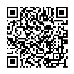 前不久你似乎和第一裁判所的西门辰发生了冲突二维码生成