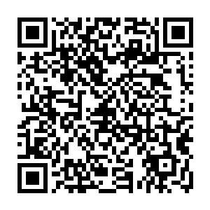 前不久又从平阳那些泰山贼和那些造反的世家人里夺下了不计其数的钱粮二维码生成
