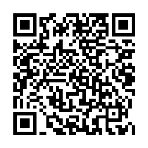 前世他们之所以能够轻易地给自己下套逼死自己二维码生成