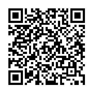 前世他可是记得金泰妍和郑亨敦这对最不像夫妇的夫妇二维码生成