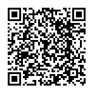 前世参加过无数次考试的凌菲自动的把暂时不知道是什么的东西放到一边二维码生成