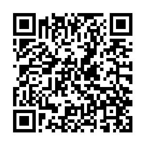 前世孑然一身了无牵挂的孟南坦然地继承了新的身份二维码生成