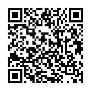 前世的时候杨戬一出生就跟他的师傅玉鼎真人在一起二维码生成