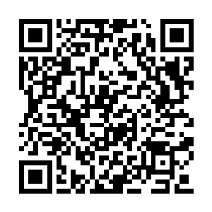 前两天你还不是紧紧跟在被人屁股后边跑了五圈二维码生成