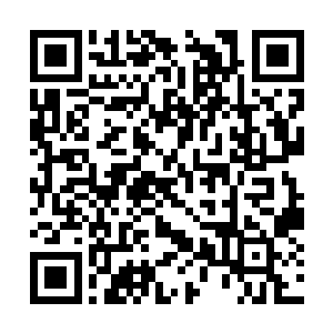 前两天它接连吞服了二十几株千年千年的天材地宝二维码生成