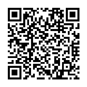 前两天梓箐好像也看到他身边多了一个清新可人的女孩二维码生成