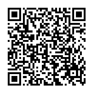 前两天隔壁百福大街上卖包子的那家硬是要把自己赶出门了的闺女嫁给傻子二维码生成