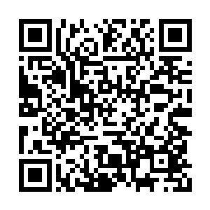 前两次常委会已经把大部分人选研究确定下来了二维码生成