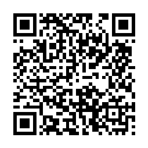 前些天就听说临淮侯府的五姑爷各种不堪的版本了二维码生成