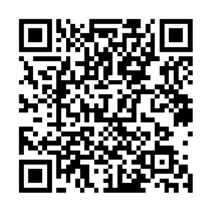 前些日子他也的确在不引人注意的情况下弄了一点蚯蚓进去二维码生成