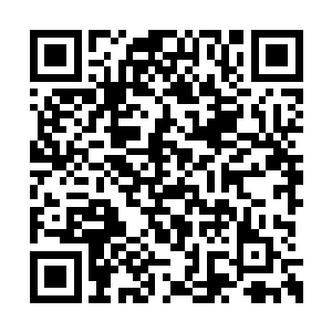 前些日子去参加别人寿辰的时候还活蹦乱跳着呢二维码生成