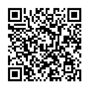 前些日子我们面对黑星大帝武英奇的时候都没这样的啊二维码生成