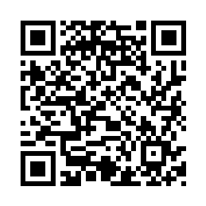 前些日子皇上不是赏了些番帮上供的人心果吗二维码生成