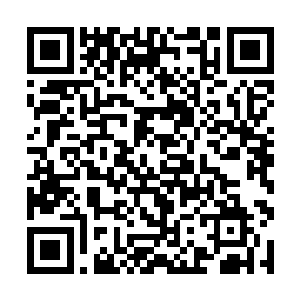 前些日子纪家的大小姐在苏北市举行了一个生日宴会二维码生成