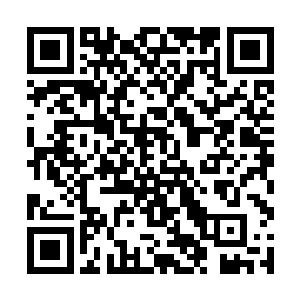 前任联邦议长身为女性的直觉相当罕见地发出了警报二维码生成