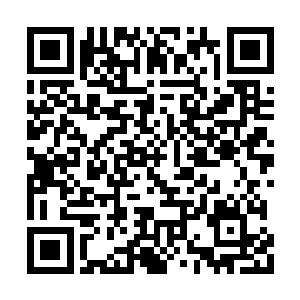 前先日子江嬷嬷不是为我制了黄连蜜做的糖丸吗二维码生成