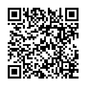 前军方人物担任临时总统会影响大选的公平性等等二维码生成