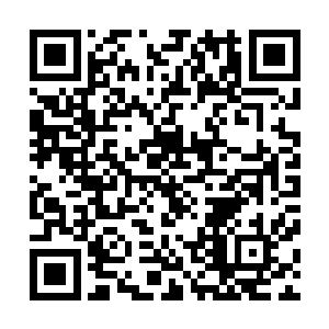 前几天来这边挑服装的时候我也只是待在仓库里面换了衣服二维码生成