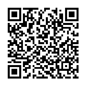 前几天还有人在前面不远的山谷之中看到一条巨蛇二维码生成