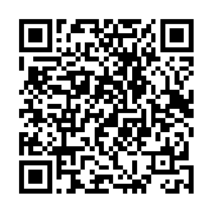 前几天阳爷的几个夫人还随着老夫人一起在东门哪里施粥二维码生成