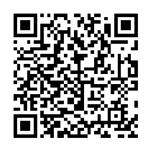 前几日曾经有人进入护境之阵从那里面带出来了一块石碑二维码生成