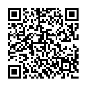 前几日镇国公世子带着神机营和刑部一起抄了好几个家族二维码生成