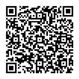 前刑警队长很快就注意到原本维杰锁定的极端武装盘踞村落有些日用品消耗量不对劲二维码生成