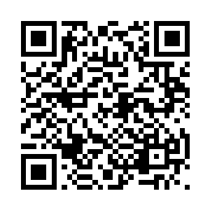 前前后后的赔偿少说也在一百来万的样子二维码生成